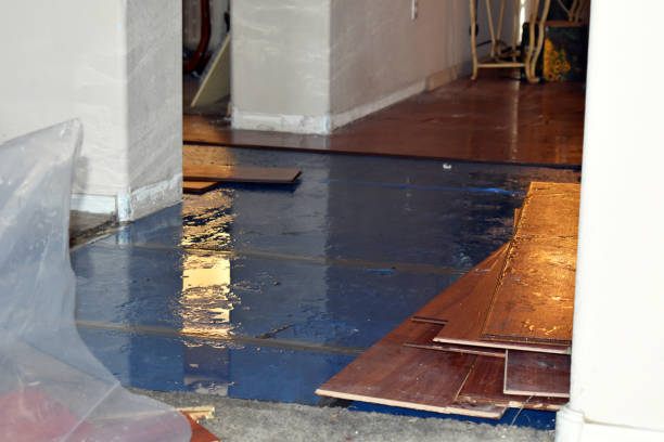 Professional Flood Damage Repair technician working in Lakeview, MI